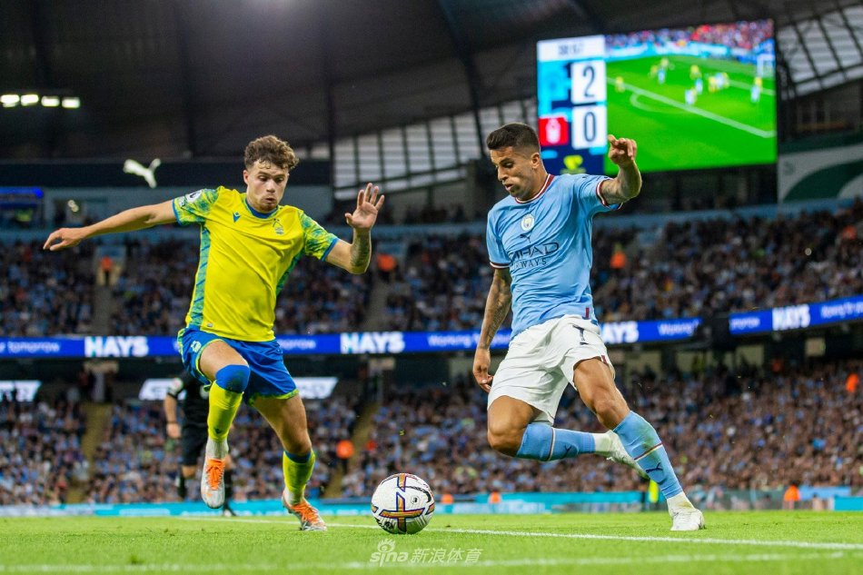 再加上粉丝 再加上粉丝